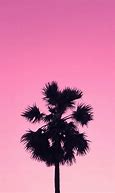 Image result for Pics of Fam Palm Tree