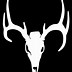 Image result for Mule Deer Skull Clip Art