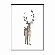 Image result for Forest Poster Set