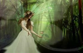 Image result for Enchanted Forest Fairies