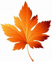 Image result for Leaf Vector Illustration