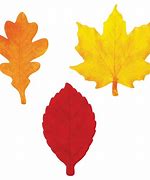 Image result for Leaf Shape Cut Out