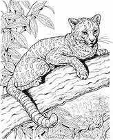 Image result for Jaguar Coloring