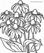 Image result for Summer Birds Coloring Pages