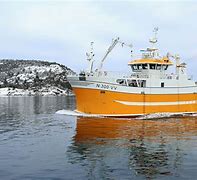 Image result for Norwegian Ship Hunting Ideas