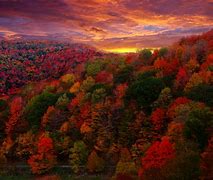 Image result for Beautiful Fall Desktop