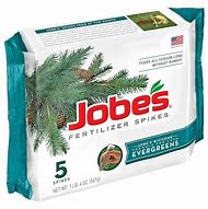 Image result for Evergreen Fertilizer