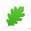 Image result for oak leaf outline