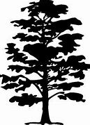 Image result for Hickory Tree Clip Art