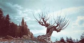 Image result for Weeping Willow Tree Harry Potter