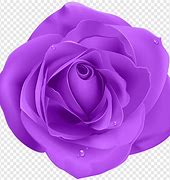 Image result for Logo with Blue Rose and Butterfly