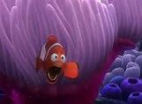 Image result for Finding Nemo Coral