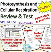 Image result for Photosynthesis and Cellular Respiration Test