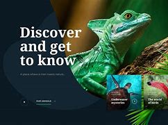 Image result for Great Website Designs