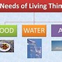 Image result for Hierarchy of Human Needs