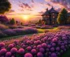 Image result for Identifying Purple Flowers