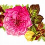 Image result for Hot Pink Flower Clip Art