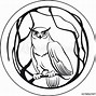 Image result for Owl On Tree Branch