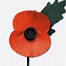 Image result for Printable Poppies