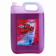 Image result for Mr Muscle All-Purpose Cleaner