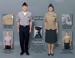 Image result for United States Navy Uniform