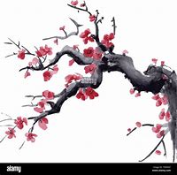 Image result for Japanese Cherry Blossom Watercolor