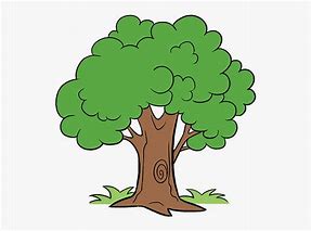 Image result for Tree Drawing No Background