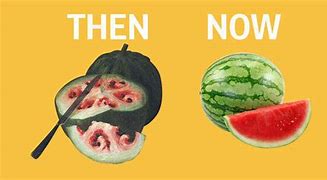 Image result for Memes Then Vs. Now