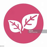 Image result for Curve Bay Leaf Illustration