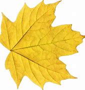 Image result for Fall Leaves Print