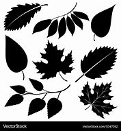 Image result for Leaf Silhouette Black and White