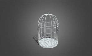 Image result for Bird Cage Coloring Page