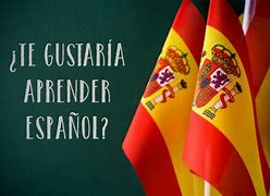 Image result for Options in Spanish Translation