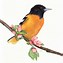 Image result for Watercolor Two Birds Branch Painting