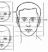 Image result for Human Proportions Chart