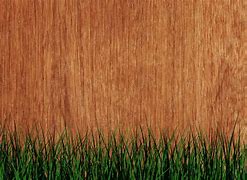 Image result for Inside Color of a Brown Oak Tree