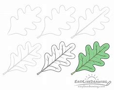 Image result for Oak Leaf Sketch