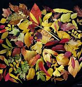 Image result for Falling Leaves Graphic