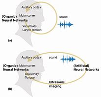 Image result for Ai Integration into Human Tissues Genetic