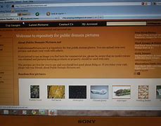 Image result for Web Page Definition