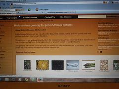 Image result for Web Page Icon