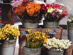 Image result for Grocery Store Bright Flowers