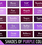 Image result for Purple-Ish Colors