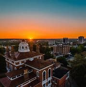 Image result for Macon Georgia Cherry Blossom