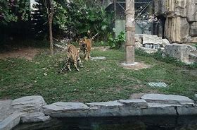 Image result for Virginia Safari Park Zoo