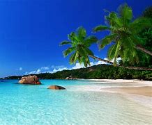 Image result for Tropical Island Ocean