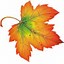 Image result for Oak Leaves Clip Art