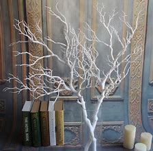 Image result for Dries Tree Branch Decoration