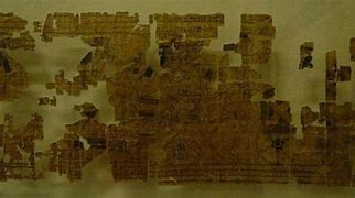 Image result for Turin Exotic Papyrus