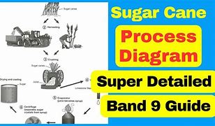 Image result for HDS Flow Process Diagram